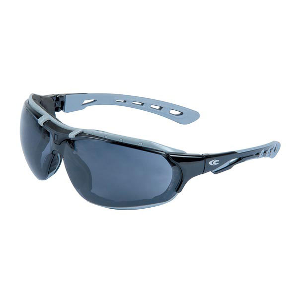 Cofra Schutzbrille MODULAR CARE GRAU