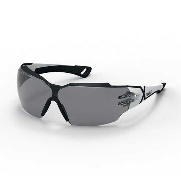 Uvex Schutzbrille pheos cx2 9198.237